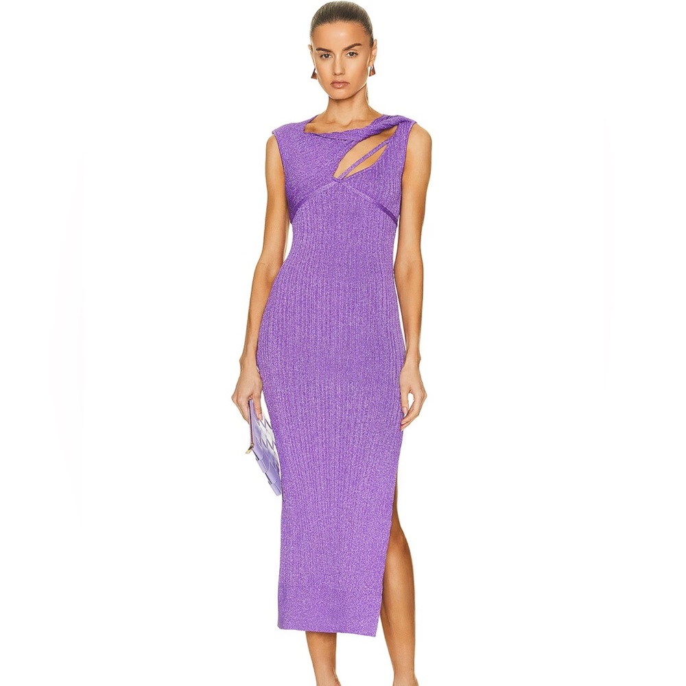 AKNVAS
Sevrine Dress NWT